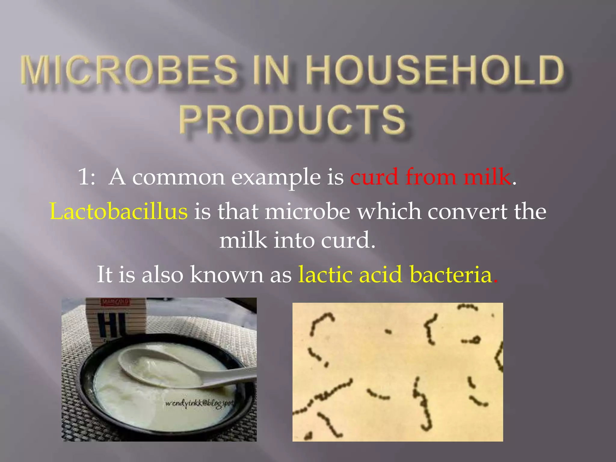 1: A common example is curd from milk.
Lactobacillus is that microbe which convert the
milk into curd.
It is also known as lactic acid bacteria.

 