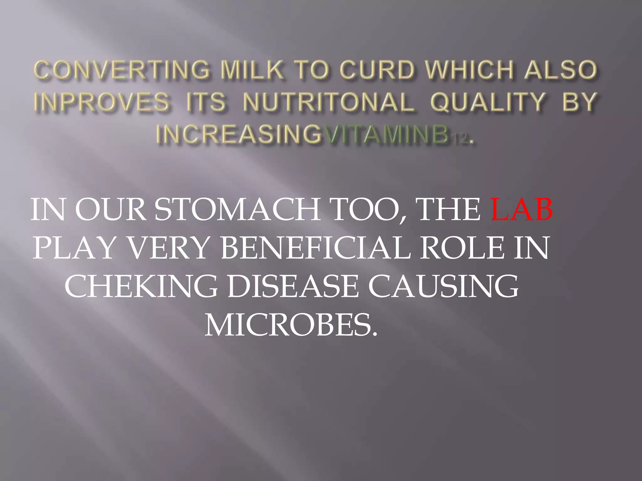 IN OUR STOMACH TOO, THE LAB
PLAY VERY BENEFICIAL ROLE IN
CHEKING DISEASE CAUSING
MICROBES.

 