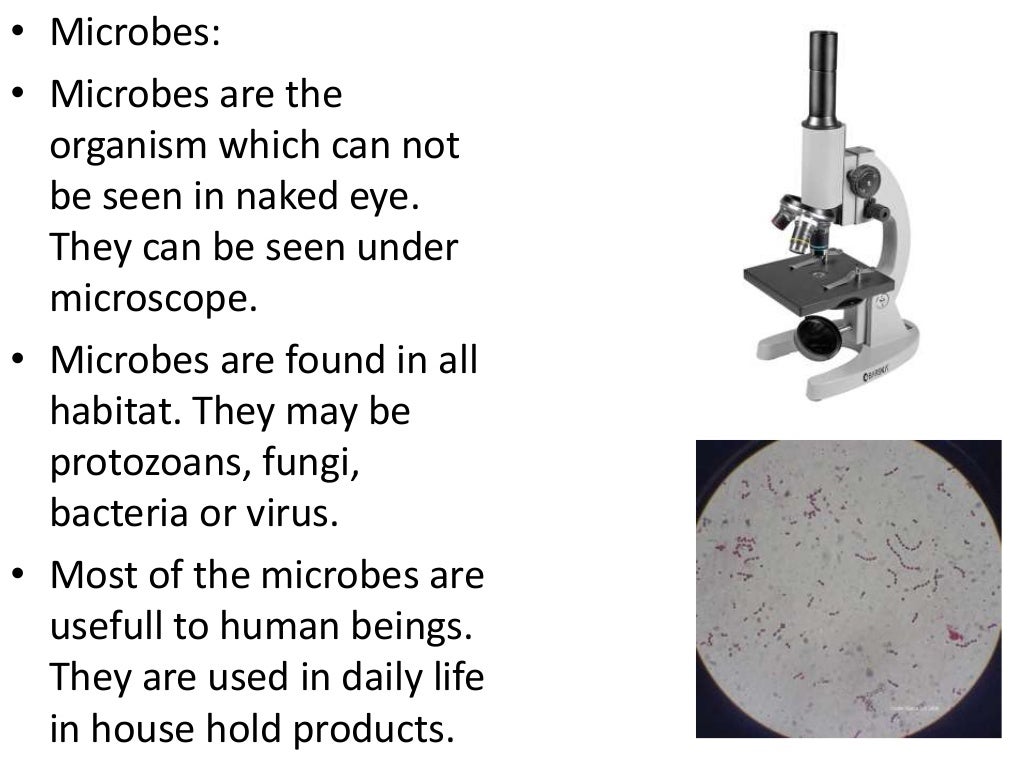 Microbes in human welfare by mohanbio