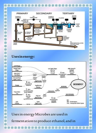 Usesinenergy:
Usesin energyMicrobesareusedin
fermentationtoproduce ethanol,andin
 