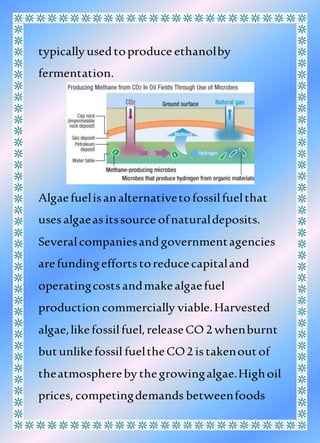 typically usedtoproduce ethanolby
fermentation.
Algaefuelisanalternativetofossilfuelthat
usesalgaeasitssource ofnaturaldeposits.
Severalcompaniesandgovernmentagencies
arefundingeffortstoreducecapitaland
operatingcostsandmakealgaefuel
production commercially viable.Harvested
algae,likefossilfuel,releaseCO 2 whenburnt
butunlikefossil fueltheCO2 istakenoutof
theatmosphereby thegrowingalgae.Highoil
prices, competingdemands betweenfoods
 