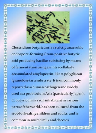 Clostridiumbutyricumisastrictly anaerobic
endospore-formingGram-positivebutyric
acidproducing bacillussubsistingby means
of fermentationusingan intracellularly
accumulatedamylopectin-likeα-polyglucan
(granulose)asasubstrate.It isuncommonly
reportedasahumanpathogenandwidely
usedasa probioticinAsia(particularly Japan).
C.butyricumisasoilinhabitantinvarious
partsoftheworld,hasbeenculturedfrom the
stoolofhealthychildren andadults,andis
common in souredmilk andcheeses.
 