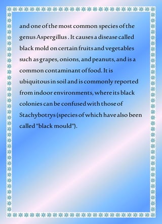 andoneofthemostcommon speciesofthe
genusAspergillus.It causesa diseasecalled
black mold oncertainfruitsandvegetables
such asgrapes,onions,andpeanuts,andisa
common contaminantoffood.Itis
ubiquitousinsoilandiscommonly reported
fromindoorenvironments,whereitsblack
coloniescanbe confusedwiththoseof
Stachybotrys(speciesof whichhavealso been
called"black mould").
 