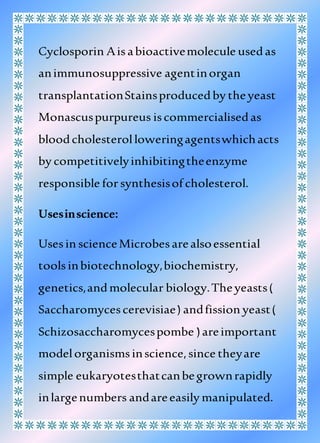 Cyclosporin Aisabioactivemolecule usedas
animmunosuppressive agentinorgan
transplantationStainsproducedby theyeast
Monascuspurpureus iscommercialisedas
bloodcholesterolloweringagentswhichacts
by competitivelyinhibitingtheenzyme
responsible forsynthesisof cholesterol.
Usesinscience:
Usesin scienceMicrobesarealsoessential
toolsinbiotechnology,biochemistry,
genetics,andmolecular biology.Theyeasts(
Saccharomycescerevisiae) andfission yeast(
Schizosaccharomycespombe )areimportant
modelorganismsinscience,since theyare
simple eukaryotesthatcanbegrownrapidly
inlargenumbers andareeasily manipulated.
 