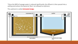 *Once the BOD of sewage water is reduced significantly, the effluent is then passed into a
settling tank where the bacterial ‘flocs’ are allowed to sediment.
This sediment is called Activated sludge.
 
