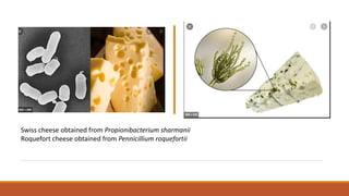 Swiss cheese obtained from Propionibacterium sharmanii
Roquefort cheese obtained from Pennicillium roquefortii
 
