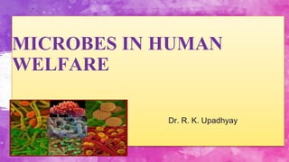 MICROBES IN HUMAN
WELFARE
Dr. R. K. Upadhyay
 