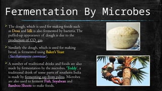 Fermentation By Microbes
 The dough, which is used for making foods such
as Dosa and Idli is also fermented by bacteria.The
puffed-up appearance of dough is due to the
production of CO2 gas.
 Similarly the dough, which is used for making
bread, is fermented using Baker’sYeast
(Saccharomyces cerevisiae).
 A number of traditional drinks and foods are also
made by fermentation by the microbes. ‘Toddy’, a
traditional drink of some parts of southern India
is made by fermenting sap from palms. Microbes
are also used to ferment Fish, Soyabean and
Bamboo Shoots to make foods.
 