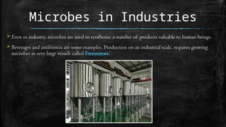 Microbes in Industries
 Even in industry, microbes are used to synthesise a number of products valuable to human beings.
 Beverages and antibiotics are some examples. Production on an industrial scale, requires growing
microbes in very large vessels called Fermentors.
 