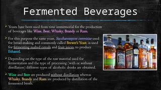 Fermented Beverages
 Yeasts have been used from time immemorial for the production
of beverages like Wine, Beer, Whisky, Brandy or Rum.
 For this purpose the same yeast, Saccharomyces cerevisiae used
for bread-making and commonly called Brewer’sYeast, is used
for fermenting malted cereals and fruit juices, to produce
Ethanol.
 Depending on the type of the raw material used for
fermentation and the type of processing (with or without
distillation) different types of alcoholic drinks are obtained.
 Wine and Beer are produced without distillation whereas
Whisky, Brandy and Rum are produced by distillation of the
fermented broth.
 