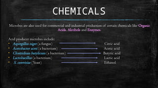 CHEMICALS
Microbes are also used for commercial and industrial production of certain chemicals like Organic
Acids, Alcohols and Enzymes.
Acid producer microbes include:
• Aspergillus niger (a fungus) Citric acid
• Acetobacter aceti (a bacterium) Acetic acid
• Clostridium butylicum (a bacterium) Butyric acid
• Lactobacillus (a bacterium) Lactic acid
• S. cerevisiae (Yeast) Ethanol
 
