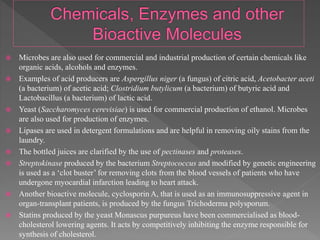  Microbes are also used for commercial and industrial production of certain chemicals like
organic acids, alcohols and enzymes.
 Examples of acid producers are Aspergillus niger (a fungus) of citric acid, Acetobacter aceti
(a bacterium) of acetic acid; Clostridium butylicum (a bacterium) of butyric acid and
Lactobacillus (a bacterium) of lactic acid.
 Yeast (Saccharomyces cerevisiae) is used for commercial production of ethanol. Microbes
are also used for production of enzymes.
 Lipases are used in detergent formulations and are helpful in removing oily stains from the
laundry.
 The bottled juices are clarified by the use of pectinases and proteases.
 Streptokinase produced by the bacterium Streptococcus and modified by genetic engineering
is used as a ‘clot buster’ for removing clots from the blood vessels of patients who have
undergone myocardial infarction leading to heart attack.
 Another bioactive molecule, cyclosporin A, that is used as an immunosuppressive agent in
organ-transplant patients, is produced by the fungus Trichoderma polysporum.
 Statins produced by the yeast Monascus purpureus have been commercialised as blood-
cholesterol lowering agents. It acts by competitively inhibiting the enzyme responsible for
synthesis of cholesterol.
 