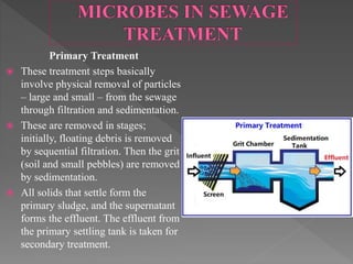 Primary Treatment
 These treatment steps basically
involve physical removal of particles
– large and small – from the sewage
through filtration and sedimentation.
 These are removed in stages;
initially, floating debris is removed
by sequential filtration. Then the grit
(soil and small pebbles) are removed
by sedimentation.
 All solids that settle form the
primary sludge, and the supernatant
forms the effluent. The effluent from
the primary settling tank is taken for
secondary treatment.
 
