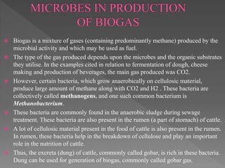  Biogas is a mixture of gases (containing predominantly methane) produced by the
microbial activity and which may be used as fuel.
 The type of the gas produced depends upon the microbes and the organic substrates
they utilise. In the examples cited in relation to fermentation of dough, cheese
making and production of beverages, the main gas produced was CO2.
 However, certain bacteria, which grow anaerobically on cellulosic material,
produce large amount of methane along with CO2 and H2 . These bacteria are
collectively called methanogens, and one such common bacterium is
Methanobacterium.
 These bacteria are commonly found in the anaerobic sludge during sewage
treatment. These bacteria are also present in the rumen (a part of stomach) of cattle.
 A lot of cellulosic material present in the food of cattle is also present in the rumen.
In rumen, these bacteria help in the breakdown of cellulose and play an important
role in the nutrition of cattle.
 Thus, the excreta (dung) of cattle, commonly called gobar, is rich in these bacteria.
Dung can be used for generation of biogas, commonly called gobar gas.
 