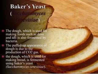  The dough, which is used for
making foods such as dosa
and idli is also fermented by
bacteria.
 The puffed-up appearance of
dough is due to the
production of CO2 gas.
 the dough, which is used for
making bread, is fermented
using baker’s yeast
(Saccharomyces cerevisiae).
 