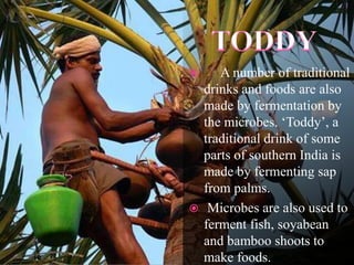  A number of traditional
drinks and foods are also
made by fermentation by
the microbes. ‘Toddy’, a
traditional drink of some
parts of southern India is
made by fermenting sap
from palms.
 Microbes are also used to
ferment fish, soyabean
and bamboo shoots to
make foods.
 