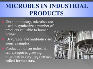  Even in industry, microbes are
used to synthesize a number of
products valuable to human
beings.
 Beverages and antibiotics are
some examples.
 Production on an industrial
scale, requires growing
microbes in very large vessels
called fermentors.
MICROBES IN INDUSTRIAL
PRODUCTS
 
