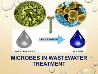 MICROBES IN WASTEWATER
TREATMENT
 
