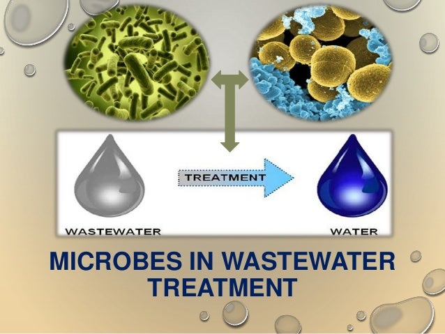 Microbes in waste water treatment