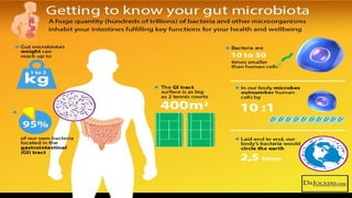 Microbes Maketh Man | PDF