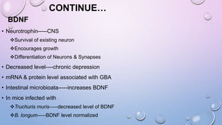 CONTINUE…
BDNF
• Neurotrophin-----CNS
Survival of existing neuron
Encourages growth
Differentiation of Neurons & Synapses
• Decreased level----chronic depression
• mRNA & protein level associated with GBA
• Intestinal microbioata-----increases BDNF
• In mice infected with
Truchuris muris-----decreased level of BDNF
B. longum-----BDNF level normalized
 