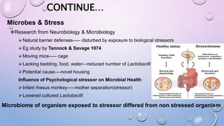 CONTINUE…
Microbes & Stress
Research from Neurobiology & Microbiology
Natural barrier defenses----- disturbed by exposure to biological stressors
Eg study by Tannock & Savage 1974
Moving mice----- cage
Lacking bedding, food, water---reduced number of Lactobacilli
Potential cause----novel housing
Influence of Psychological stressor on Microbial Health
Infant rhesus monkey-----mother separation(stressor)
Lowered cultured Lactobacilli
Microbiome of organism exposed to stressor differed from non stressed organism
 