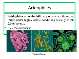 Microbes of extreme environment | PPT