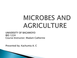 Microbes in Agriculture | PPTX