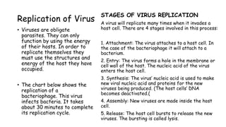 Replication of Virus
• Viruses are obligate
parasites. They can only
function by using the energy
of their hosts. In order to
replicate themselves they
must use the structures and
energy of the host they have
occupied.
• The chart below shows the
replication of a
bacteriophage. This virus
infects bacteria. It takes
about 30 minutes to complete
its replication cycle.
STAGES OF VIRUS REPLICATION
A virus will replicate many times when it invades a
host cell. There are 4 stages involved in this process:
1. Attachment: The virus attaches to a host cell. In
the case of the bacteriophage it will attach to a
bacterium.
2. Entry: The virus forms a hole in the membrane or
cell wall of the host. The nucleic acid of the virus
enters the host cell.
3. Synthesis: The virus’ nucleic acid is used to make
new viral nucleic acid and proteins for the new
viruses being produced. (The host cells’ DNA
becomes deactivated.(
4. Assembly: New viruses are made inside the host
cell.
5. Release: The host cell bursts to release the new
viruses. The bursting is called lysis.
 