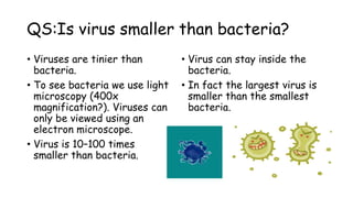 QS:Is virus smaller than bacteria?
• Viruses are tinier than
bacteria.
• To see bacteria we use light
microscopy (400x
magnification?). Viruses can
only be viewed using an
electron microscope.
• Virus is 10–100 times
smaller than bacteria.
• Virus can stay inside the
bacteria.
• In fact the largest virus is
smaller than the smallest
bacteria.
 