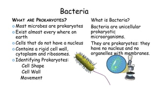 Bacteria
WHAT ARE PROKARYOTES?
 Most microbes are prokaryotes
 Exist almost every where on
earth
 Cells that do not have a nucleus
 Contains a rigid cell wall,
cytoplasm and ribosomes.
 Identifying Prokaryotes:
Cell Shape
Cell Wall
Movement
What is Bacteria?
Bacteria are unicellular
prokaryotic
microorganisms.
They are prokaryotes: they
have no nucleus and no
organelles with membranes.
 