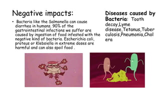 Negative impacts:
• Bacteria like the Salmonella can cause
diarrhea in humans. 90% of the
gastrointestinal infections we suffer are
caused by ingestion of food infested with the
negative kind of bacteria. Escherichia coli,
proteus or Klebsiella in extreme doses are
harmful and can also spoil food .
Diseases caused by
Bacteria: Tooth
decay,Lyme
disease,Tetanus,Tuber
culosis,Pneumonia,Chol
era
 
