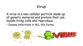 Virus
A virus is a non-cellular particle made up
of genetic material and protein that can
invade living cells and reproduce.
– Causes infections in ALL life forms
 