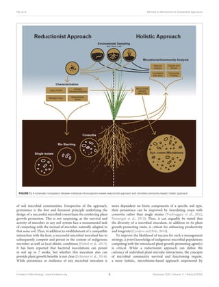 Ray et al. Microbe to Microbiome for Sustainable Agriculture
FIGURE 1 | A schematic comparison between individual microorganism-based reductionist approach and microbial community-based holistic approach.
of soil microbial communities. Irrespective of the approach,
persistence is the first and foremost principle underlying the
design of a successful microbial consortium for conferring plant
growth promotion. This is not surprising, as the survival and
activity of microbes in any soil system face a monumental task
of competing with the myriad of microbes naturally adapted to
that same soil. Thus, in addition to establishment of a compatible
interaction with the host, a successful microbial inoculant has to
subsequently compete and persist in the context of indigenous
microbes as well as local abiotic conditions (Finkel et al., 2017).
It has been reported that bacterial inoculations can persist
in soil up to 7 weeks, but whether this inoculum also can
provide plant growth benefits is not clear (Schreiter et al., 2014).
While persistence or resilience of any microbial inoculum is
more dependent on biotic components of a specific soil type,
their persistence can be improved by inoculating crops with
consortia rather than single strains (Verbruggen et al., 2012;
Nemergut et al., 2013). Thus, it can arguably be stated that
the diversity of a microbial inoculum, in addition to its plant
growth-promoting traits, is critical for enhancing productivity
and longevity (Cordero and Polz, 2014).
To improve the likelihood of success for such a management
strategy, a priori knowledge of indigenous microbial populations
competing with the introduced plant growth-promoting agent(s)
is critical. While a reductionist approach can define the
currency of individual plant-microbe interactions, the concepts
of microbial community survival and functioning require,
a more holistic, microbiome-based approach empowered by
Frontiers in Microbiology | www.frontiersin.org 5 December 2020 | Volume 11 | Article 622926
 