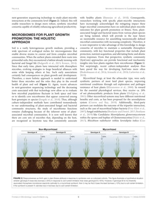 Ray et al. Microbe to Microbiome for Sustainable Agriculture
next-generation sequencing technology to study plant-microbe
interactions at the community level (Figure 2). Indeed, this will
enable researchers to design more robust, synthetic microbial
consortia capable of reliably enhancing agricultural productivity.
MICROBIOMES FOR PLANT GROWTH
PROMOTION: THE HOLISTIC
APPROACH
Soil is a vastly heterogeneous growth medium, providing a
wide spectrum of ecological niches for microorganisms that
enable diverse strains to coexist and form complex microbial
communities. When the earliest plants extended their roots into
primordial soils, they encountered a habitat already teeming with
bacterial and fungal life (Bulgarelli et al., 2013; Kemen, 2014).
Since that early time, plants have interacted with rhizosphere
microbes, evolving strategies to forge beneficial alliances with
some while keeping others at bay. Such early associations
certainly had consequences on plant growth and development.
Therefore, a more holistic approach is needed to understand
better these microbes and the roles they play in the overall
health of plant and soil (Figure 1). Again, recent advances
in next-generation sequencing technology and the decreasing
costs associated with that technology now allow us to evaluate
how microbial populations fluctuate in both space and time
or to identify core microbiomes that appear conserved among
host genotypes or species (Sergaki et al., 2018). Thus, although
culture-independent methods have contributed tremendously
to our understanding of plant-associated fungal and bacterial
community structures, the study of microbiome functions
remains challenging because of the inherent noise of plant-
associated microbial communities. It is now well known that
there are core sets of microbes that, depending on the host,
are recognized as keystone taxa that consistently associate
with healthy plants (Banerjee et al., 2018). Consequently,
researchers working with specific plant-microbe interactions
have increasingly acknowledged the mitigating impact these
larger microbial communities have on individual plant-microbe
outcomes for plant growth promotion or fitness. Now, plant-
associated fungal and bacterial stains from various plant species
are being isolated, which will provide in the near future
an inestimable resource for assembling taxonomically defined
microbial communities with increasing complexity. Therefore, it
is now imperative to take advantage of this knowledge to design
consortia of microbes to maintain a sustainable rhizosphere
community, with key functional properties that include plant
protection, nutrient acquisition, and alleviating biotic and abiotic
stress responses. From that perspective, synthetic community
(SynCom) approaches can provide functional and mechanistic
insights into how plants regulate their microbiomes (Figure 1).
Not surprisingly, recent culture-independent analyses thus
have paved the way for developing SynComs more often
(Bodenhausen et al., 2014; Armanhi et al., 2018; Carlström et al.,
2019).
Mycorrhizal fungi, at least the arbuscular type, were early
symbiotic partners of most land plant species, improving
nutritional conditions through soil exploration and pathogen
resistance of host plants (Klironomos et al., 2000). In reward
for the essential physiological services, they receive ca. 20%
of net photosynthetic products from plants (HoÈgberg et al.,
2001). Other mycorrhizal systems may have different nutritional
benefits and costs, as has been proposed for the serendipitous
system (Craven and Ray, 2019). Additionally, third-party
partners can modulate the outcome of the tripartite interaction,
such as the case of mycorrhizal helper bacteria (Frey-Klett et al.,
2007), fungal endobacteria (Bonfante and Desirò, 2017; Bonfante
et al., 2019) like Candidatus Moeniiplasma glomeromycotorum
within the spores and hyphae of Glomeromycotina (Naito et al.,
2017), Rhizobium radiobacter within Serendipita indica (Guo
FIGURE 2 | Responsiveness as the% gain in plant fitness attribute in response to symbiosis over un-colonized cohorts. This figure illustrates a hypothetical situation
wherein genotype A loses less biomass (–20%) in response to soil nutrient limitation than does genotype B (–40%). However, if genotype B for its inherently
associated rhizosphere microbiome responds optimally to a mycorrhizal symbiont, then it may be that it loses the least biomass (–10%) due to soil nutrient limitation,
if the symbiont is present.% denotes loss in biomass due to soil nutrient limitation.
Frontiers in Microbiology | www.frontiersin.org 6 December 2020 | Volume 11 | Article 622926
 