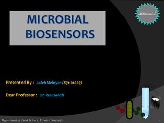 Presented By :  Laleh Mehryar  (871101007) Dear Professor :   Dr. Rezazadeh Department of Food Science, Urmia University Seminar 1 