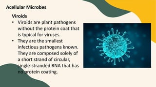 Pathogen Circular Microbial-Diversity-microbiologyseconcdsem | PDF