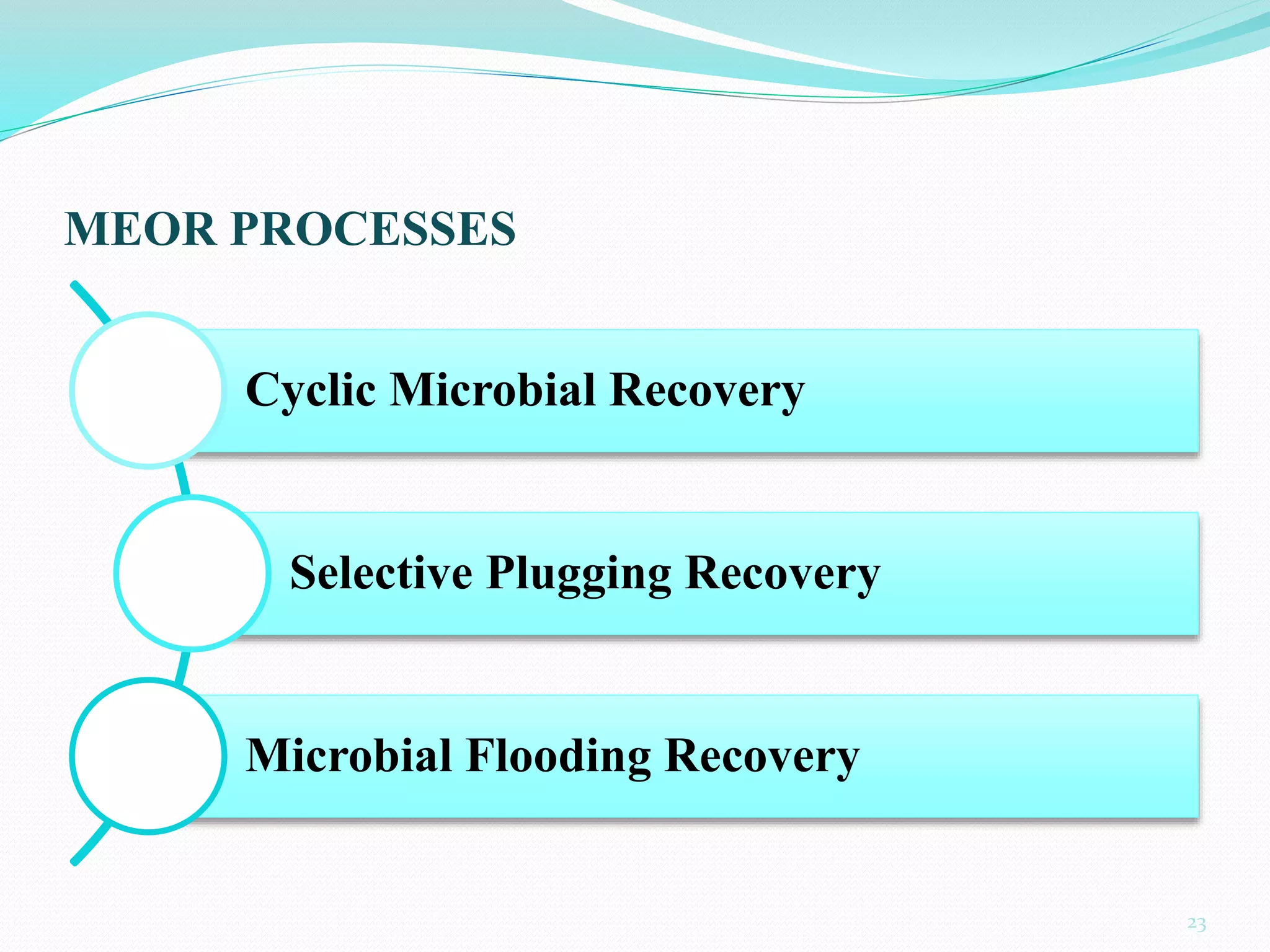 MEOR PROCESSES
Cyclic Microbial Recovery
Selective Plugging Recovery
Microbial Flooding Recovery
23
 