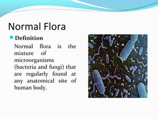 beneficial effects of normal flora