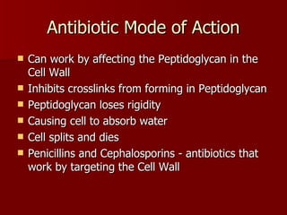 Antibiotic Mode of Action Can work by affecting the Peptidoglycan in the Cell Wall Inhibits crosslinks from forming in Peptidoglycan Peptidoglycan loses rigidity Causing cell to absorb water Cell splits and dies Penicillins and Cephalosporins - antibiotics that work by targeting the Cell Wall 