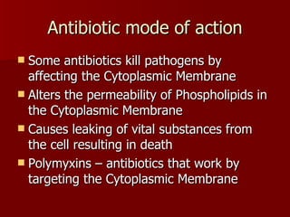 Antibiotic mode of action Some antibiotics kill pathogens by affecting the Cytoplasmic Membrane Alters the permeability of Phospholipids in the Cytoplasmic Membrane Causes leaking of vital substances from the cell resulting in death Polymyxins – antibiotics that work by targeting the Cytoplasmic Membrane 