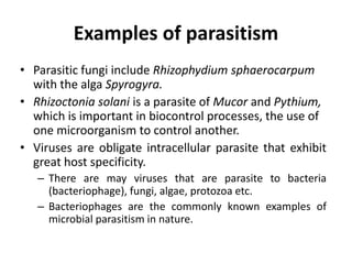 Examples of parasitism
• Parasitic fungi include Rhizophydium sphaerocarpum
with the alga Spyrogyra.
• Rhizoctonia solani is a parasite of Mucor and Pythium,
which is important in biocontrol processes, the use of
one microorganism to control another.
• Viruses are obligate intracellular parasite that exhibit
great host specificity.
– There are may viruses that are parasite to bacteria
(bacteriophage), fungi, algae, protozoa etc.
– Bacteriophages are the commonly known examples of
microbial parasitism in nature.
 