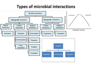 Types of microbial interactions
 