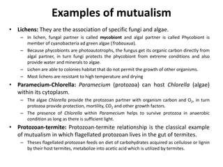 Examples of mutualism
• Lichens: They are the association of specific fungi and algae.
– In lichen, fungal partner is called mycobiont and algal partner is called Phycobiont is
member of cyanobacteria ad green algae (Trabauxua).
– Because phycobionts are photoautotrophs, the fungus get its organic carbon directly from
algal partner, in turn fungi protects the phycobiont from extreme conditions and also
provide water and minerals to algae.
– Lichen are able to colonies habitat that do not permit the growth of other organisms.
– Most lichens are resistant to high temperature and drying
• Paramecium-Chlorella: Paramecium (protozoa) can host Chlorella (algae)
within its cytoplasm.
– The algae Chlorella provide the protozoan partner with organism carbon and O2, in turn
protozoa provide protection, mortility, CO2 and other growth factors.
– The presence of Chlorella within Paramecium helps to survive protozoa in anaerobic
condition as long as there is sufficient light.
• Protozoan-termite: Protozoan-termite relationship is the classical example
of mutualism in which flagellated protozoan lives in the gut of termites.
– Theses flagellated protozoan feeds on diet of carbohydrates acquired as cellulose or lignin
by their host termites, metabolize into acetic acid which is utilized by termites.
 