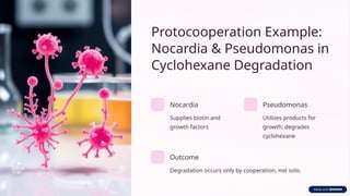 Microbial-Interactions-Protocooperation(Synergism).pptx