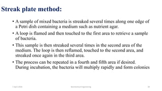 Streak plate method:
• A sample of mixed bacteria is streaked several times along one edge of
a Petri dish containing a medium such as nutrient agar.
• A loop is flamed and then touched to the first area to retrieve a sample
of bacteria.
• This sample is then streaked several times in the second area of the
medium. The loop is then reflamed, touched to the second area, and
streaked once again in the third area.
• The process can be repeated in a fourth and fifth area if desired.
During incubation, the bacteria will multiply rapidly and form colonies
7 April 2020 Biochemical Engineering 28
 