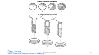 Picture courtesy:
https://www.cliffsnotes.com/assets/8348.jpg
7 April 2020 Biochemical Engineering 30
 
