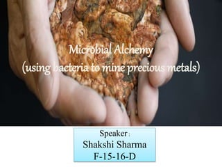 Microbial Alchemy
(using bacteria to mine precious metals)
Speaker:
Shakshi Sharma
F-15-16-D
 