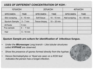 microbial analysis.pptx