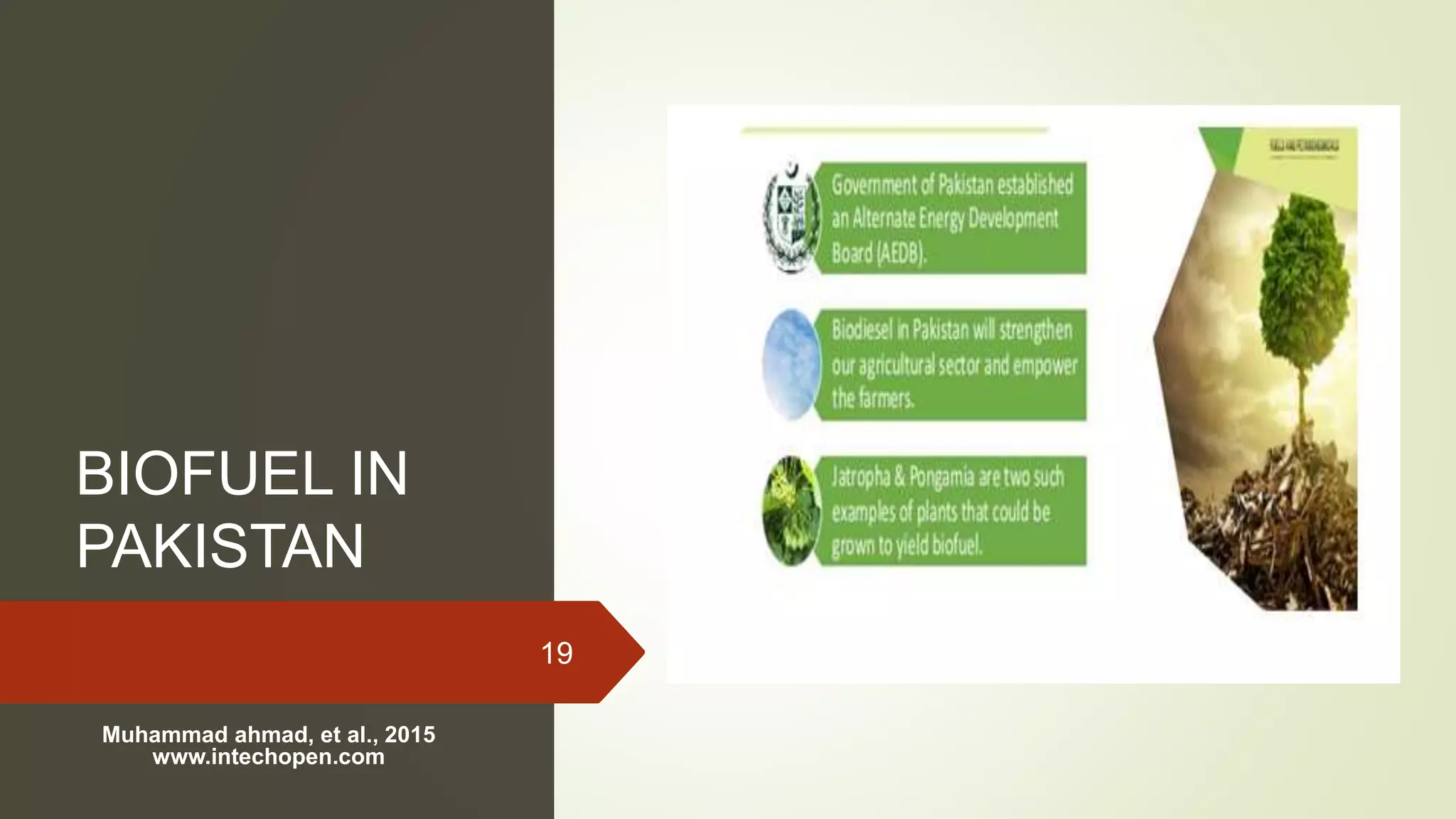 Microbial application for biofuel production | PPTX